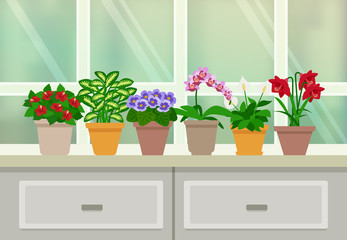 Houseplants Background Illustration 