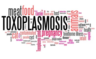 Toxoplasmosis