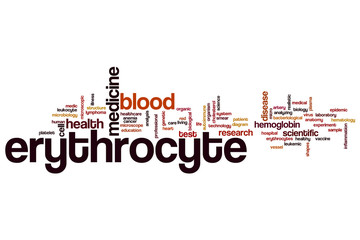Erythrocyte word cloud