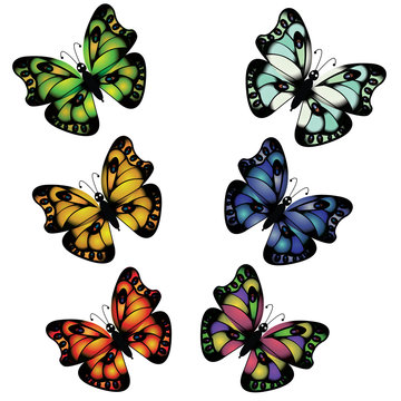 Flying butterfly