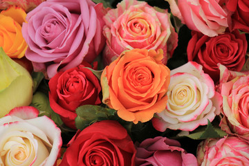 Multicolored wedding roses