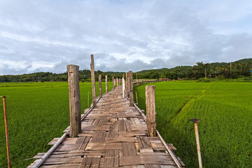 Fototapeta na wymiar Beautiful bamboo bridge of Thailand ,Zutongpae Bridge on green rice field