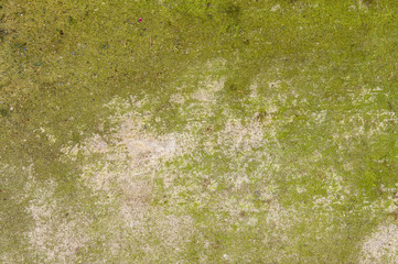 Concrete floor with interesting textured pattern