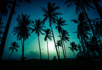 Papier Peint photo Palmier Silhouette de cocotiers sur la plage au coucher du soleil. Ton vintage.