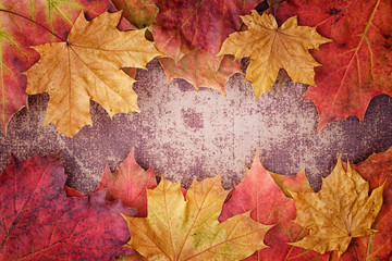 Bright autumn leaves arranged in a frame on a shabby chic background