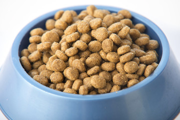 Dry dog or cat treats in bowl isolated on white