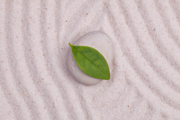 Green leaf on a white zen pebble