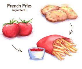 Hand-drawn watercolor fast food drawing. Illustration of the different ingredients of the French fries: potato and the ketchup