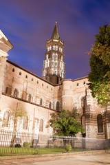 Fototapeta na wymiar Saint sernin basilica at night with trees in Toulouse, France