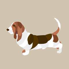 basset hound Flat style vector illustration