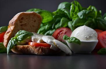 Sandwich with mozzarella, tomato and basil