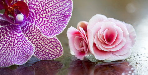 Website banner of flowers with copy space