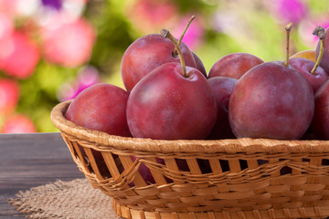 plum in a wicker basket on the wooden table with sackcloth and blurred green background