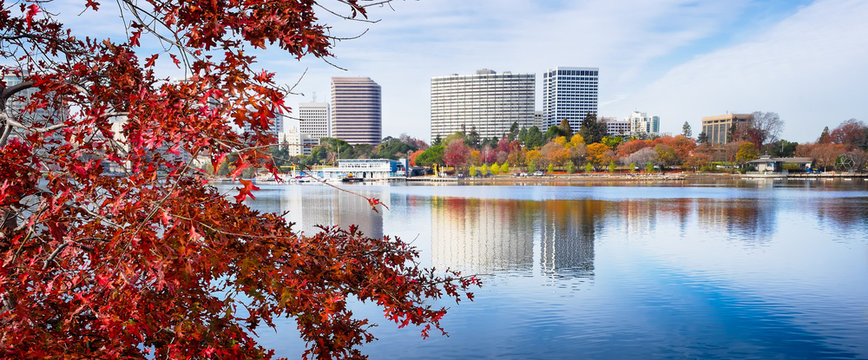 Oakland, California Lake Merritt view framed by foreground red maple leaf tree 
