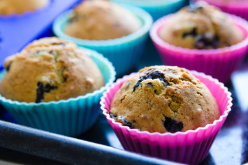 homemade blueberry muffins with berries closeup in baking cups