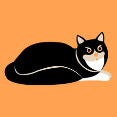 Black Cat is vector illustration style Flat side view