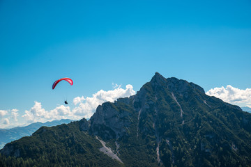 Free as a bird / Paragliding in the alps