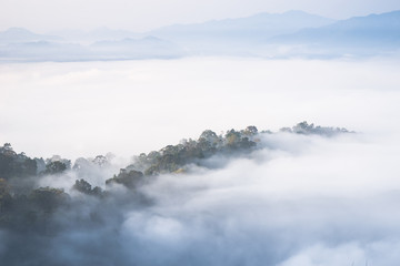 Morning fog and beautiful forest  Kaeng Krachan National Park, Phetchaburi, Thailand