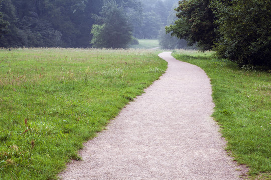 Fototapeta Path along the field into the forest. Evening before rain. Misty on the horizon.