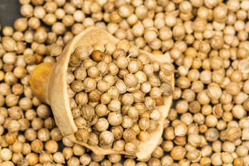 Coriander seeds with pumpkin rind on black background