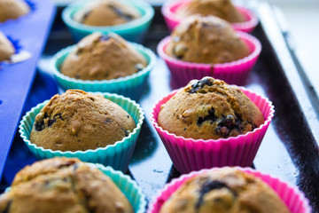 homemade blueberry muffins with berries closeup in baking cups