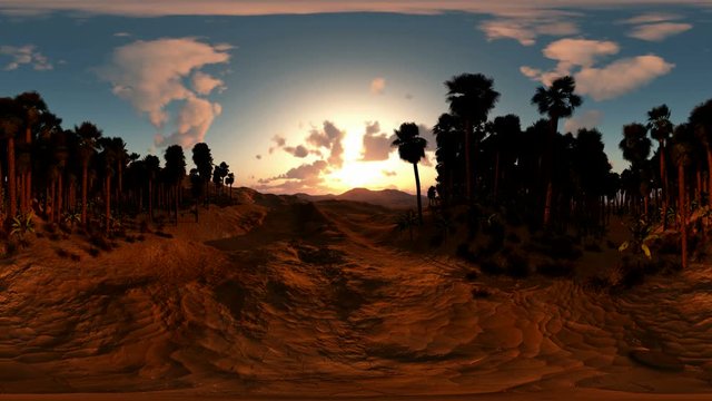 panoramic of palms in desert at sunset. made with the one 360 degree lense camera without any seams. ready for virtual reality