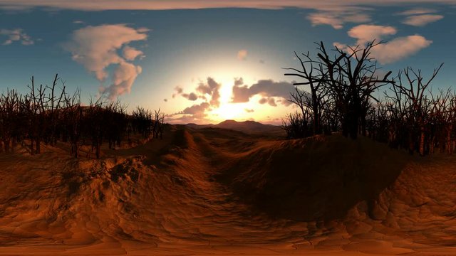 panoramic of dead trees in desert at sunset. made with the one 360 degree lense camera without any seams. ready for virtual reality