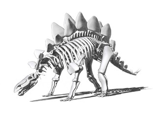 Stegosaurus Skeleton Drawing © AlienCat
