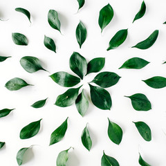 green leaves pattern on white background. flat lay.