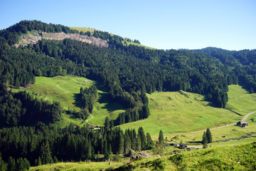 Green valley and range
