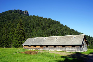 Long barn and pasture