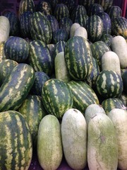 Photograph of watermelon in a harvested pile