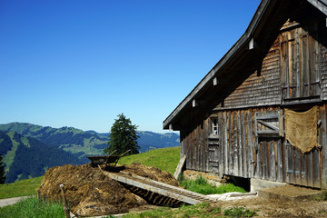 Heap of mamure and wooden shed