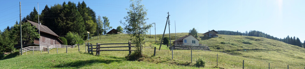 Fototapeta na wymiar Farm houses and green pasture