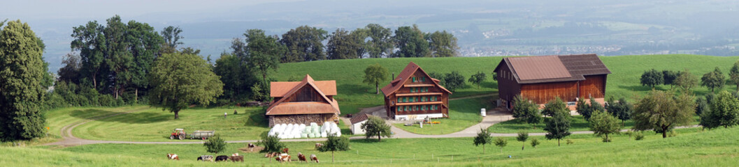Fototapeta na wymiar Panorama of farm houses