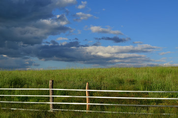 Landscape image of countryside with field of green grass, fence and blue sky with clouds
