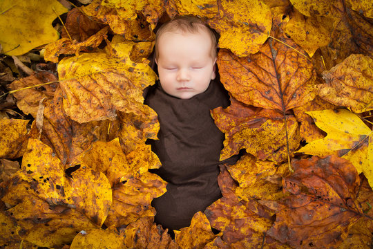 Portrait of newborn baby in fall leaves