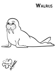 Children's coloring book that says Paint me. Walrus