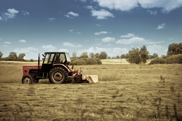 Gathering Crops