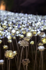 A lot of lit LED rose flowers at the Dongdaemun Design Plaza in Seoul, South Korea at night. Focused on the front part.