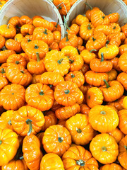 Baskets with colorful decorative gourds