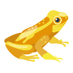 Frog cartoon tropical animal cartoon nature icon. Funny frog cartoon vector illustration. Some frog flat syle isolated on white background
