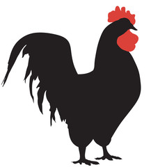 Silhouette of a rooster-vector. Chicken 