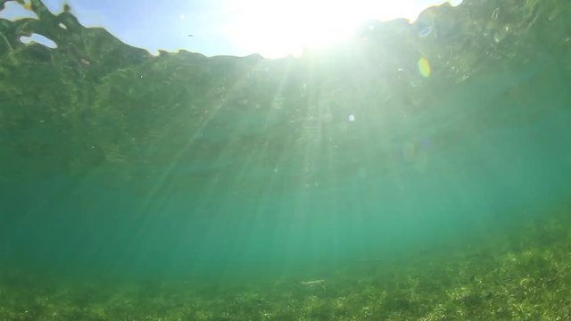 Underwater in sea with sunlight