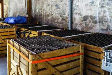 Automation bottling line for produce champagne in Alsace