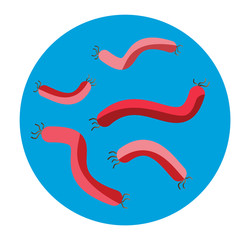 Bacteria virus vector icon