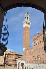 Obraz premium Piazza del Campo in Siena