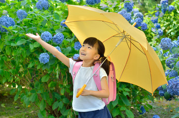 アジサイと小学生の女の子（梅雨）