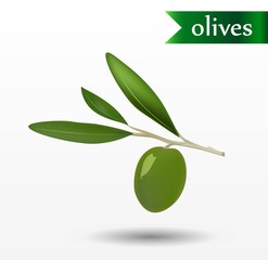 Vector olives icon