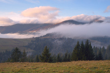 Naklejka na ściany i meble Autumn Landscape with fog in mountains